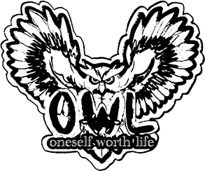 OWL̃S